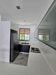 Radiance @ Bukit Timah (D21), Terrace #554020091